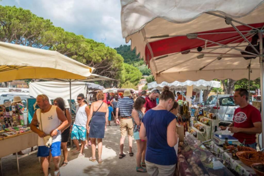 Magnifique Studio A 50M De La Plage De Cavaliere - Studio Tamarindo Le Lavandou Εξωτερικό φωτογραφία