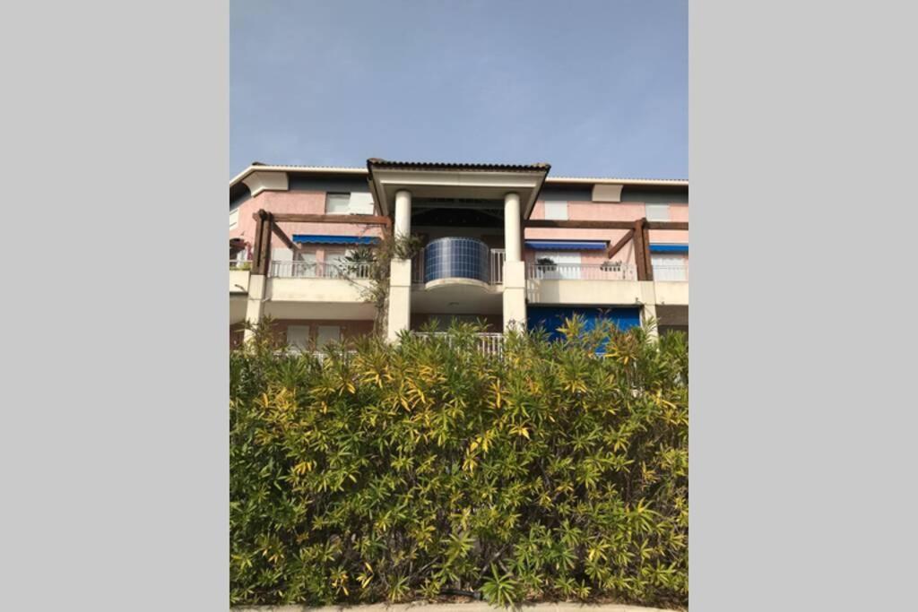 Magnifique Studio A 50M De La Plage De Cavaliere - Studio Tamarindo Le Lavandou Εξωτερικό φωτογραφία