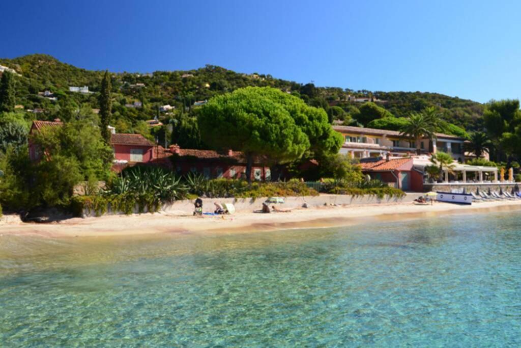 Magnifique Studio A 50M De La Plage De Cavaliere - Studio Tamarindo Le Lavandou Εξωτερικό φωτογραφία