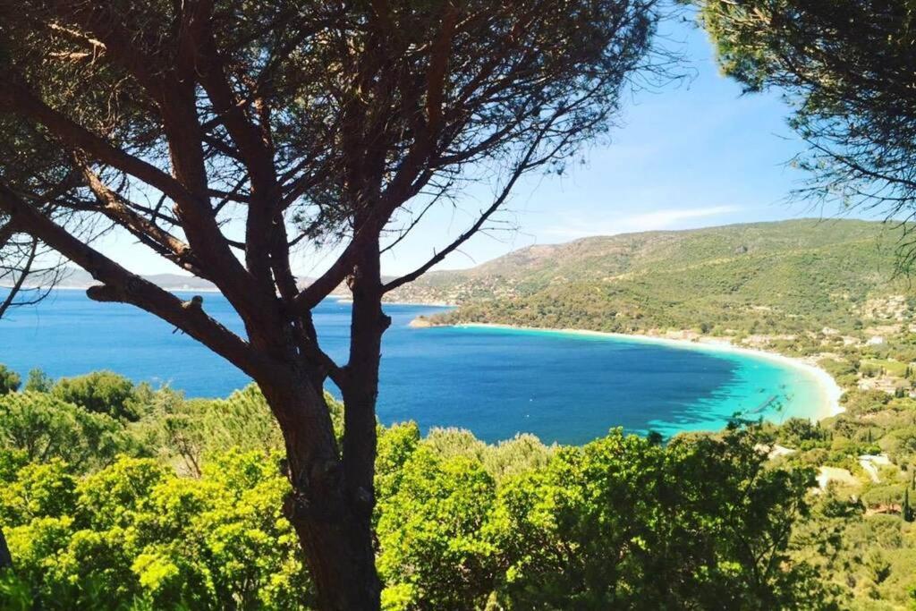 Magnifique Studio A 50M De La Plage De Cavaliere - Studio Tamarindo Le Lavandou Εξωτερικό φωτογραφία