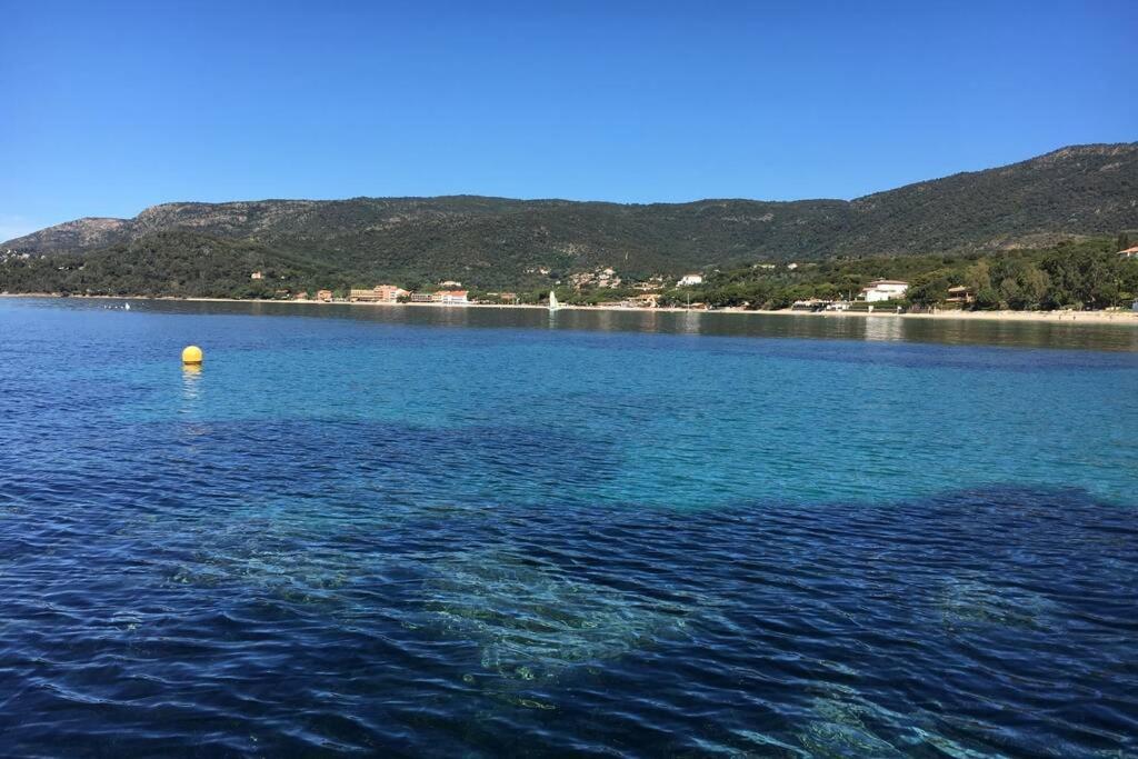 Magnifique Studio A 50M De La Plage De Cavaliere - Studio Tamarindo Le Lavandou Εξωτερικό φωτογραφία