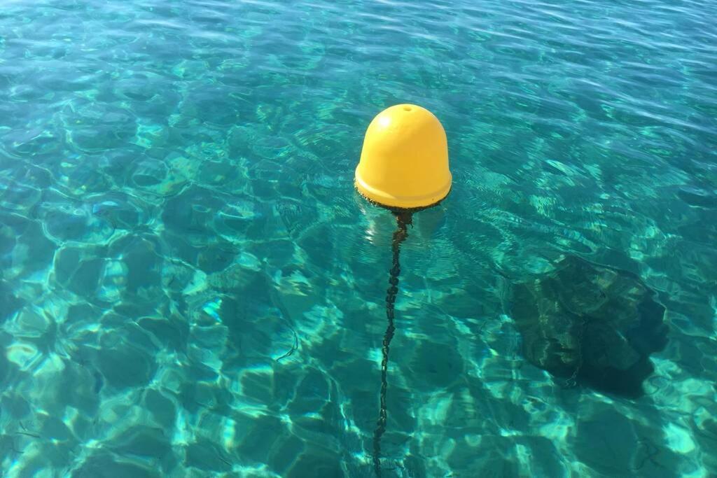 Magnifique Studio A 50M De La Plage De Cavaliere - Studio Tamarindo Le Lavandou Εξωτερικό φωτογραφία